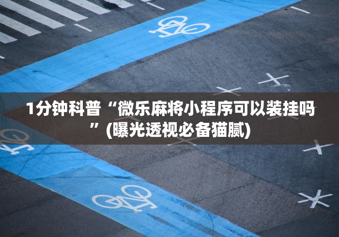玩家必备十款微信小程序微乐斗地主透视挂”原来确实有挂!