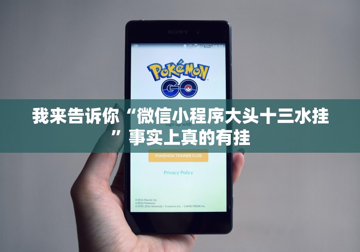 盘点一款“白金岛手游放炮罚有挂吗”(详细透视教程)