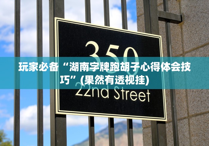 辅助神器“微乐麻将上牌规律”(外卦神器下载)