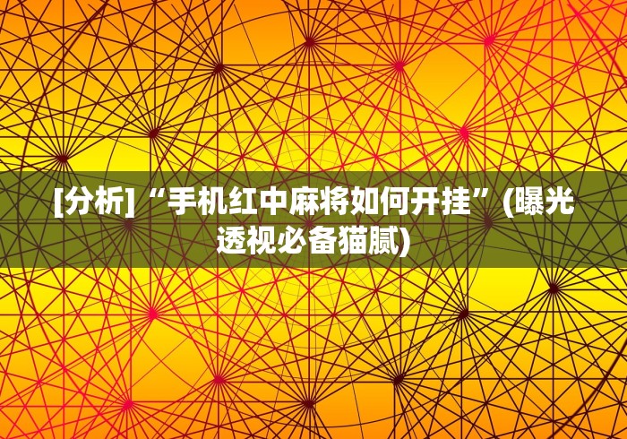【终于出现】“玩麻将的技巧和方法(透视挂真的假的)