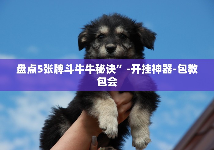 最新引进“微乐陕西三代怎么免费开挂	”作弊挂(辅助外挂+
