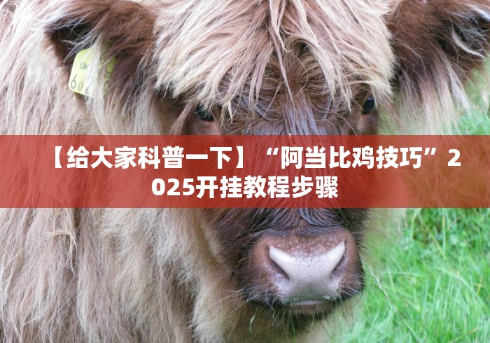 盘点"皇豪互众有挂吗”(透视)辅助透视教程