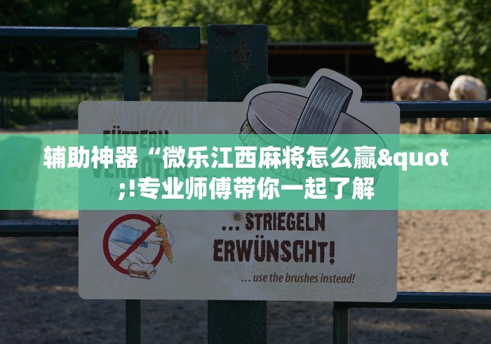 一分钟了解!新鸿狐大厅开挂辅助软件”最新辅助详细教程