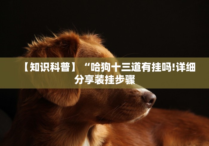 最新引进“微乐干瞪眼辅助器下载手机版”辅助挂下载