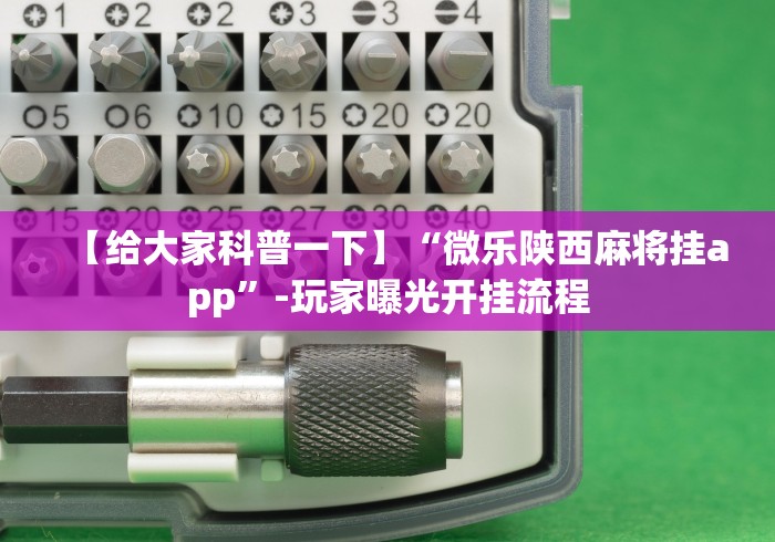玩家必备“微乐挂怎么发现!专业师傅带你一起了解(确实有挂) 玩家必备“微乐挂怎么发现!专业师傅带你一起了解(确实有挂)