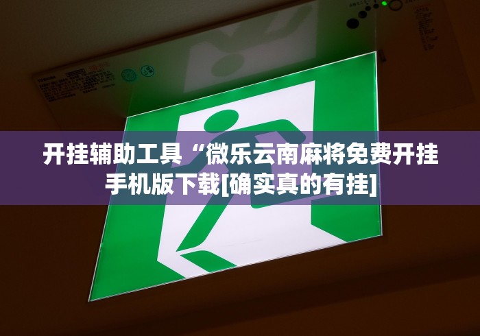 今日重磅消息“微乐小程序助赢神器下载安装”(果然有透视挂) 