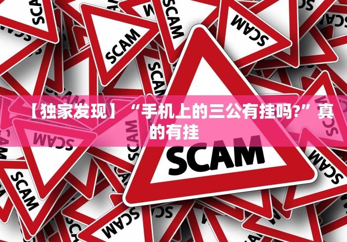 【独家发现】“手机上的三公有挂吗?”真的有挂