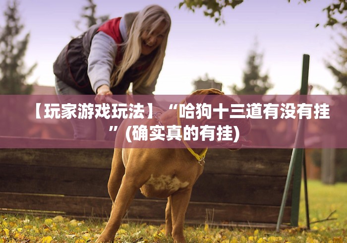 【玩家必看】“明水和和麻将有挂吗”(原来确实是有插件) 
