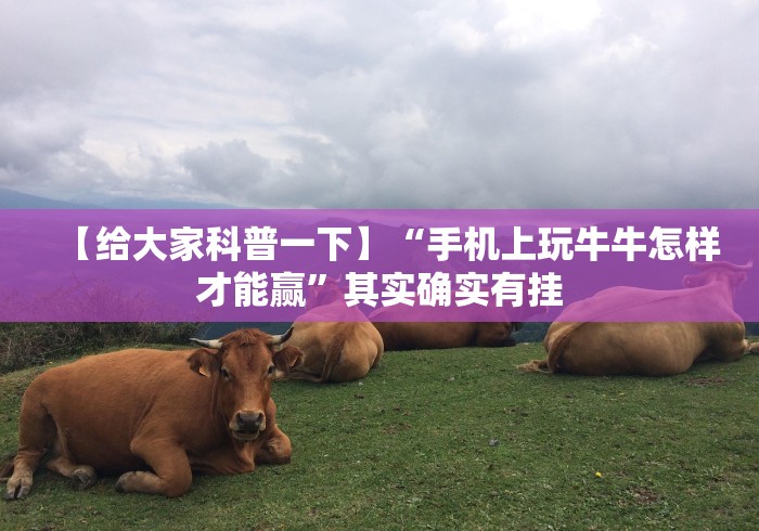 【第一攻略】“白金岛跑得快开挂教程”(原来确实是有插件) 