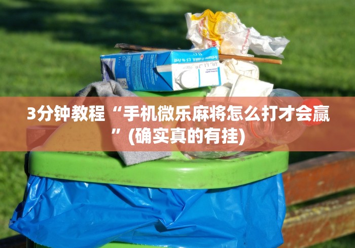 3分钟教程“手机微乐麻将怎么打才会赢”(确实真的有挂)
