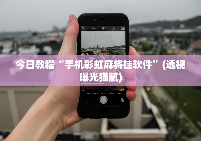玩家必备攻略!微信开心泉州麻将挂最新破解	”附透视挂详细教程