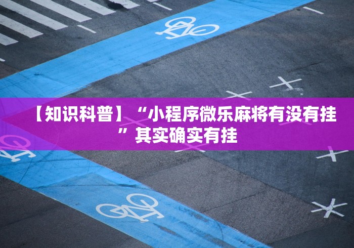 玩家辅助神器:“好玩贰柒拾开挂在哪里买呢	”-详细教程