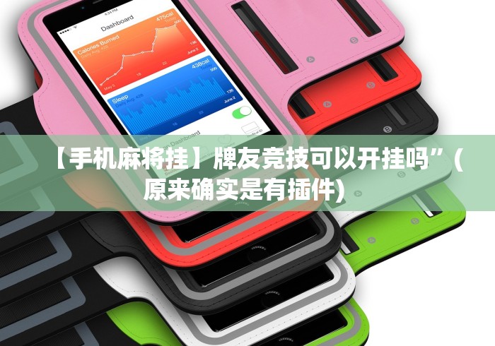 今日分享“山西扣点点的打法与技巧”辅助神器插件下载