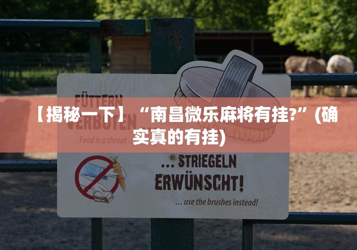 揭秘“四川微乐麻将小程序怎样免费开挂”作弊挂(辅助外挂+教程)