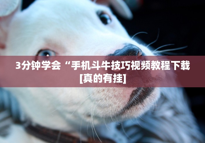内测功能“手机微乐麻将可以开挂吗知乎	”其实确实有挂