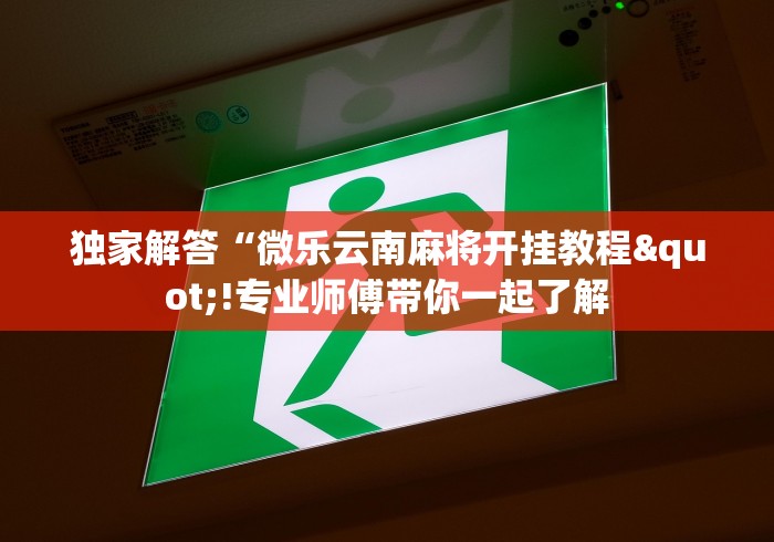 教程辅助“贵阳微乐麻将可以开挂不”辅助工具插件,揭秘技巧开挂