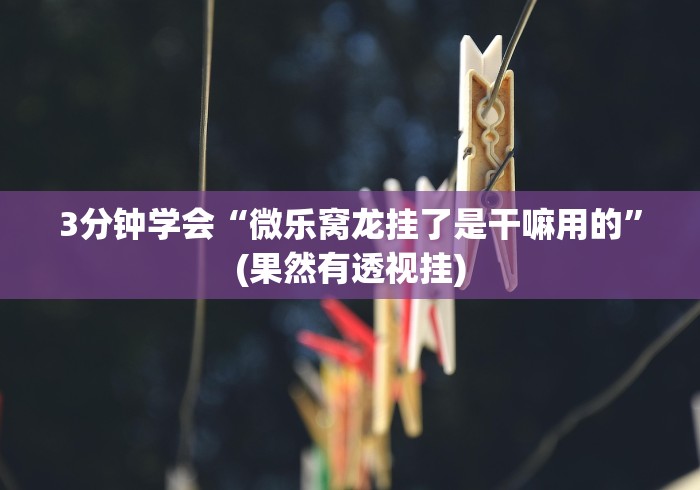 丰富分享“十三水怎么玩稳赢”详细透视辅助教程官方正版下载