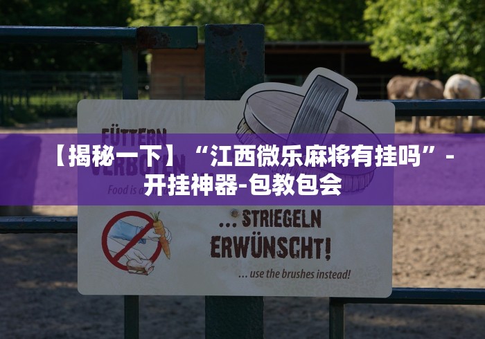 【揭秘一下】“江西微乐麻将有挂吗”-开挂神器-包教包会