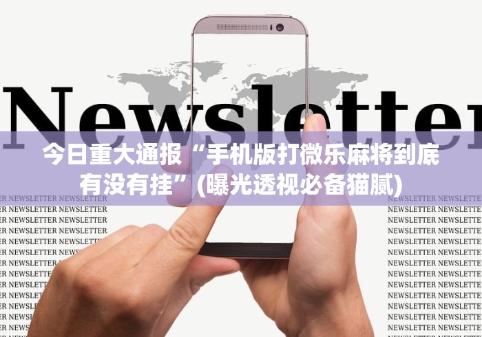 实操教程“十三张有没有挂?”开挂(透视)辅助