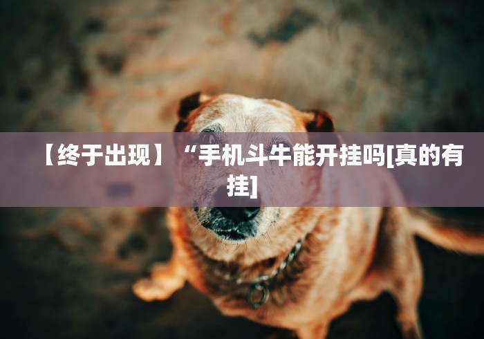 辅助开挂神器“微信牛牛控制尾数设置挂”(透视)其实真的有挂