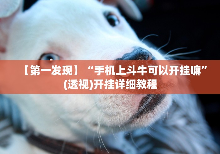 【第一发现】“手机上斗牛可以开挂嘛”(透视)开挂详细教程