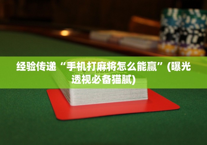18秒详论!微乐麻将挂试用一天怎么使用”(原来确实是有插件)
