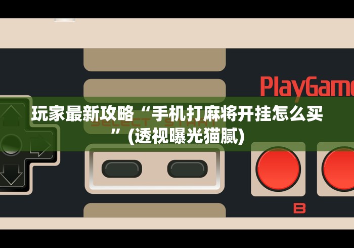 玩家最新攻略“手机打麻将开挂怎么买”(透视曝光猫腻)