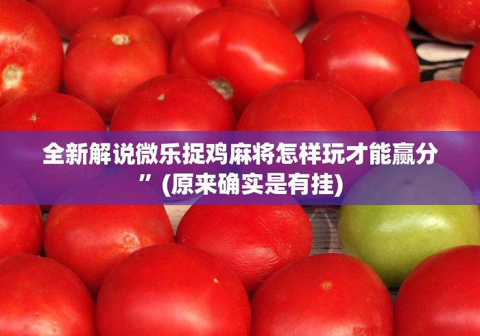解析分享“手机麻将挂在哪里购买”(原来确实是有挂) 