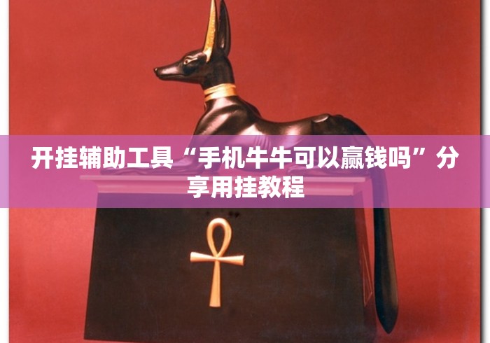 必学教你安装“手机填大坑透视底牌”(详细透视教程)-知乎