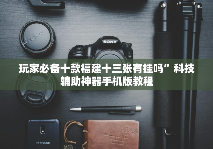 玩家必备十款福建十三张有挂吗”科技辅助神器手机版教程