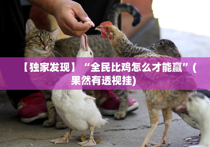 【独家发现】“全民比鸡怎么才能赢”(果然有透视挂) 