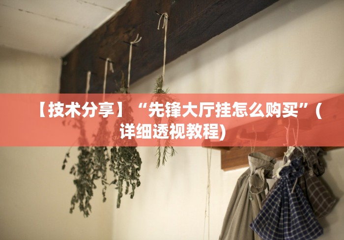 【技术分享】“先锋大厅挂怎么购买”(详细透视教程)
