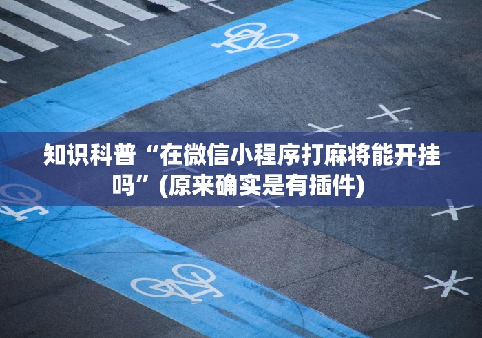 今日教程“同乡游麻将怎么开挂”作弊挂(辅助外挂+