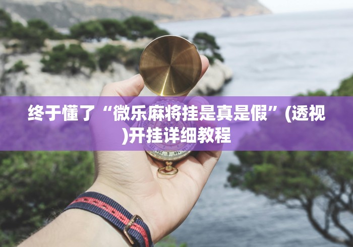 一分钟了解!微乐必赢软件	”(透视挂)详细用法教程