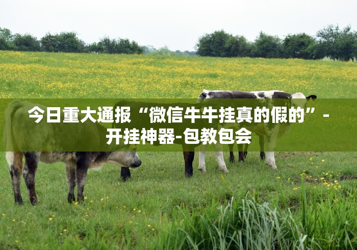 给大家讲解“小程序微乐麻将开挂神器下载”(确实真的有挂)