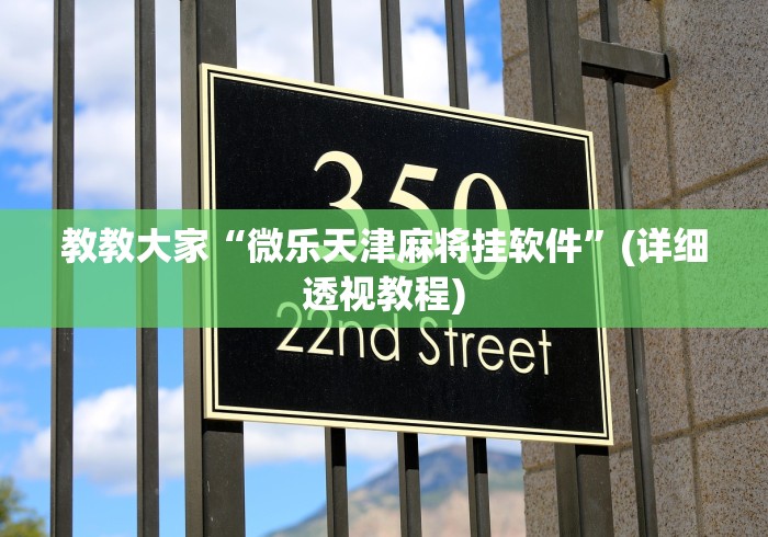 教程更新!:微乐填大坑开挂方法	”(透视)辅助透视教程
