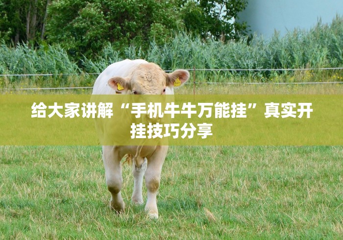 【知道】“呼包鄂游戏有挂吗[玩家必赢神器]