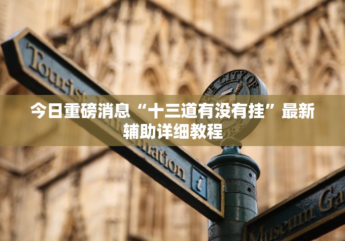 今日重磅消息“十三道有没有挂”最新辅助详细教程