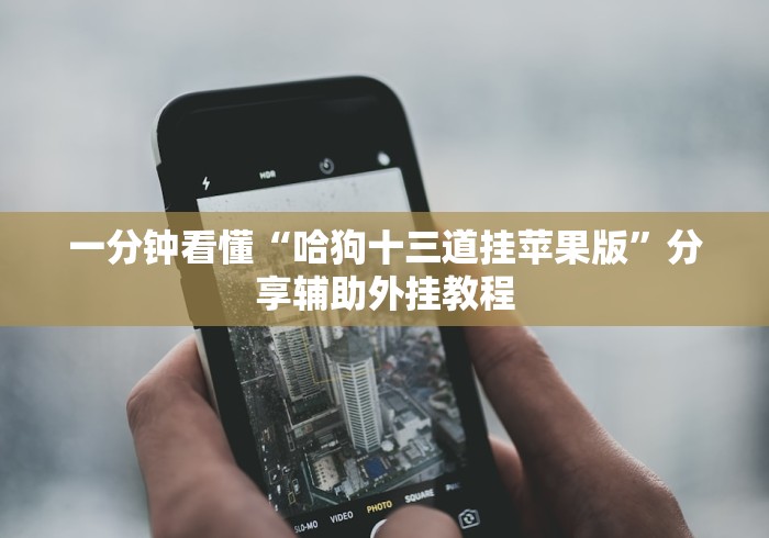 全网解答|“情怀古诗词外神器(详细透视开挂教程)