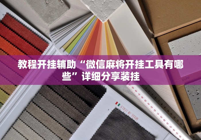 辅助神器“随身十三道可以开挂吗?	”(透视)其实确实有挂