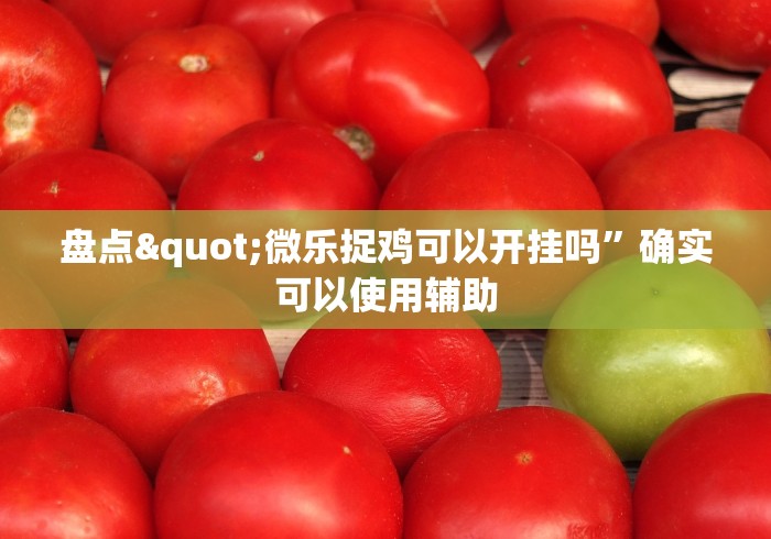 【揭秘一下】“友友沛县麻将开挂神器”详细外挂安装步骤
