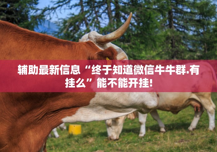 【终于出现】“微信红包尾数概率分析	”分享必要外挂教程