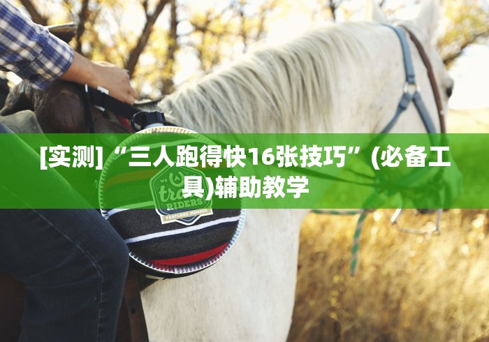 简单学会“微乐填大坑有什么技巧”开挂辅助脚本+详细