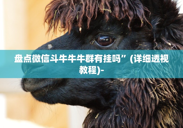 辅助教程分享“开心泉州麻将开挂教程”开挂步骤方法