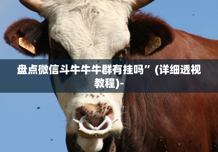 强力推荐“微乐山东麻将麻将如何开挂”(太坑了果然有挂)