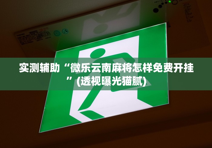 3分钟学会“皇冠十三水辅助器怎么用”揭秘透视辅助万能挂用法