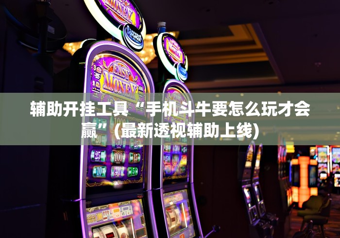 今日教程“微信牛牛挂免费”(透视挂)辅助透视教程
