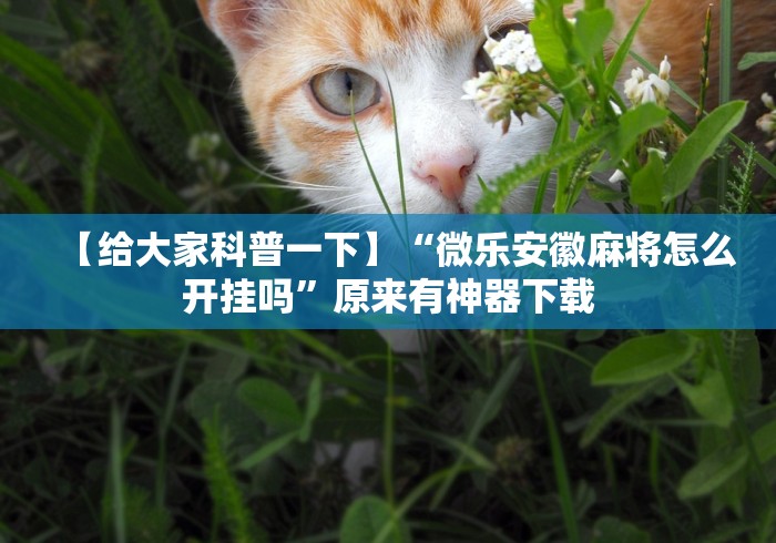 4分钟讲解"微乐干瞪眼有透视吗是真的吗”确实果然有挂 