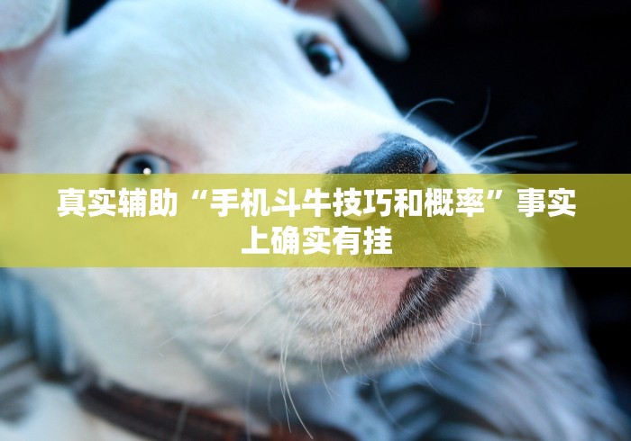 【手机麻将挂】微信小程序功夫川麻一直输”(确实真的有挂)