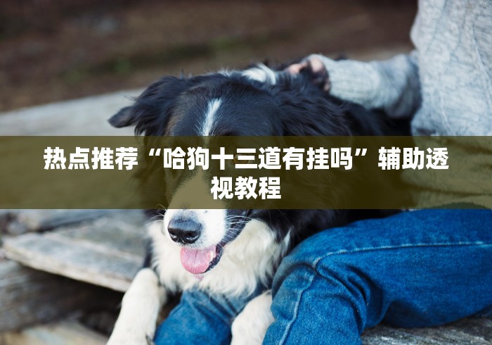 热点推荐“哈狗十三道有挂吗”辅助透视教程